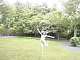 elektrala's picture