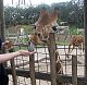 spacecow's picture