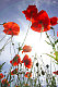 AucuneRancune's picture