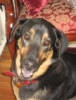 Smiling Monte!