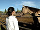 tarre07's picture
