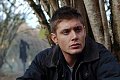 Jensen Ackles as Dean Winchester in Supernatural (Scarecrow)