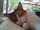 SlugGirl's picture