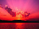 dclion's picture