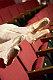 Chariot13's picture