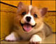 skyeyes's picture