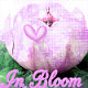 bibiruby82's picture