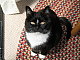 Amelie074's picture