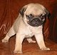 tara2109's picture