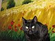 critter's picture
