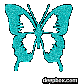 blackberry sugar's picture