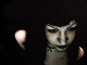 tat2edgirl's picture