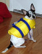 chloe baby's picture