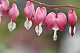 natushka's picture