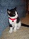 amyerin's picture