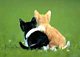 bobono3's picture