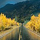 azbezzy's picture