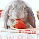 katy_baby's picture