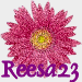 Reesa23's picture