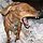 hollitosway's picture