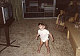 abellz13's picture