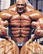 Joe Mahma's picture