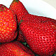 foodsnob's picture