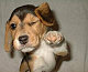 lawyerpup's picture