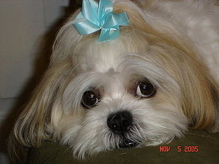 Cubby