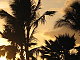 LoveLAD22's picture