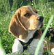 birdie83's picture