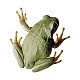 hauteviscosite's picture