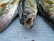 Anna Banana's picture
