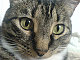 VikaX's picture