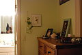 I take cuttings from my house plants and root them hydroponically. 