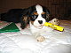 Lashelle20's picture