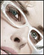 gincoolette's picture