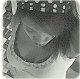 chailce06's picture