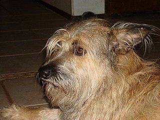 Hanna