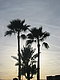 talrocks's picture