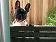 papermonkey's picture
