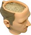 head4