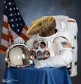 lizardastronaut