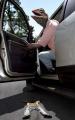 roadkill