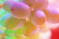 Champagne Grapes