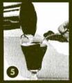 bv5