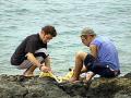 topchef13_seaurchin