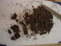 DSC03378.JPG