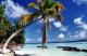 BeachyAthlete's picture