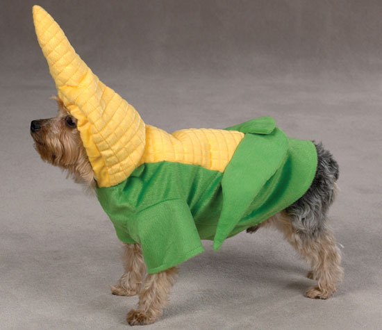 Corn Costume For Dogs Popsugar Pets,What Is Tanf Mean